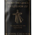 Calvinist Christianity Short Read Kindle by Grapevine 13‑Page Guide-0